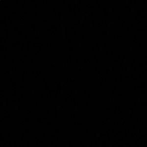 Meet your Posher, Jasmin